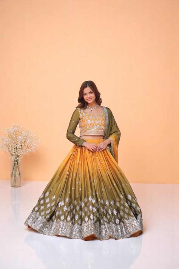 Sitara Shehzaadi Lehenga Set